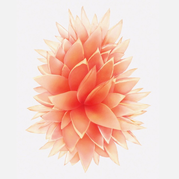 Обои iPhone SE и iPad Pro 9.7