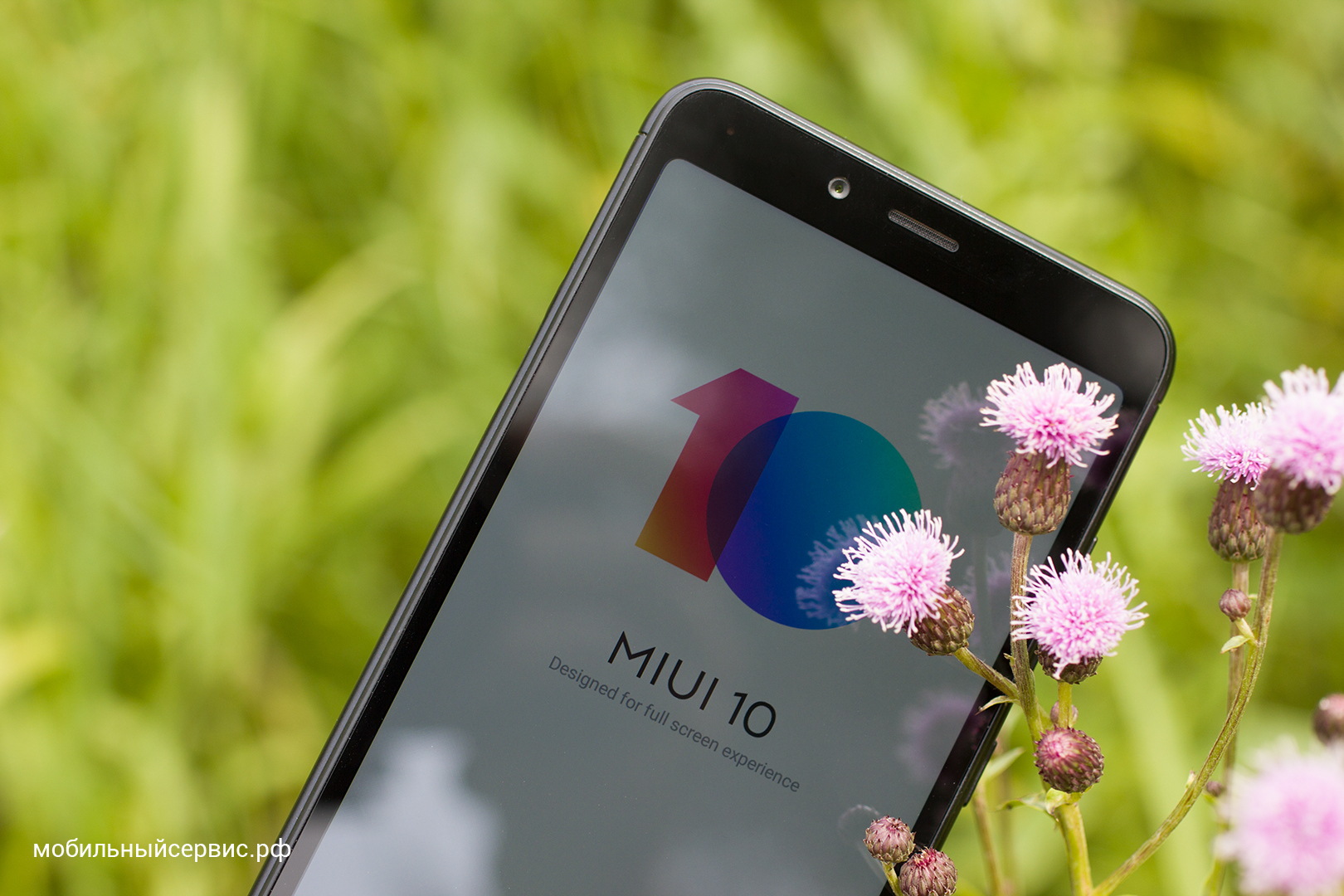 Внешний вид Xiaomi Redmi 6