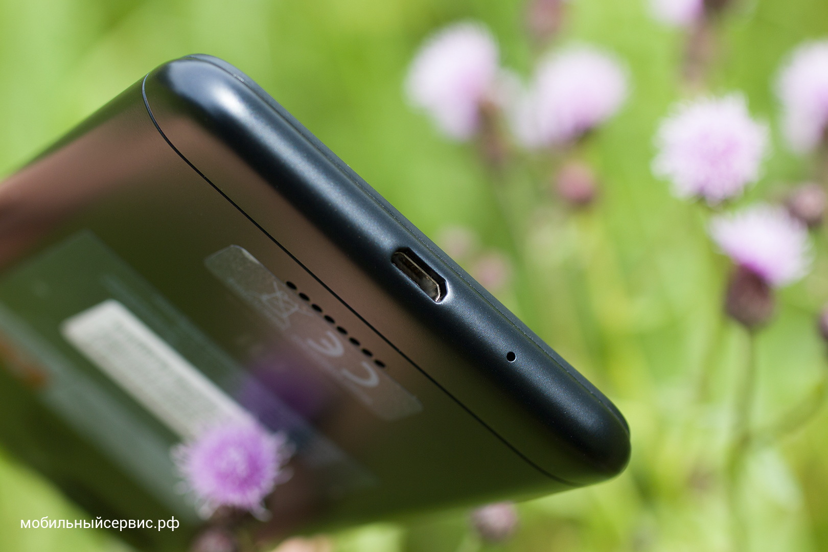 Внешний вид Xiaomi Redmi 6