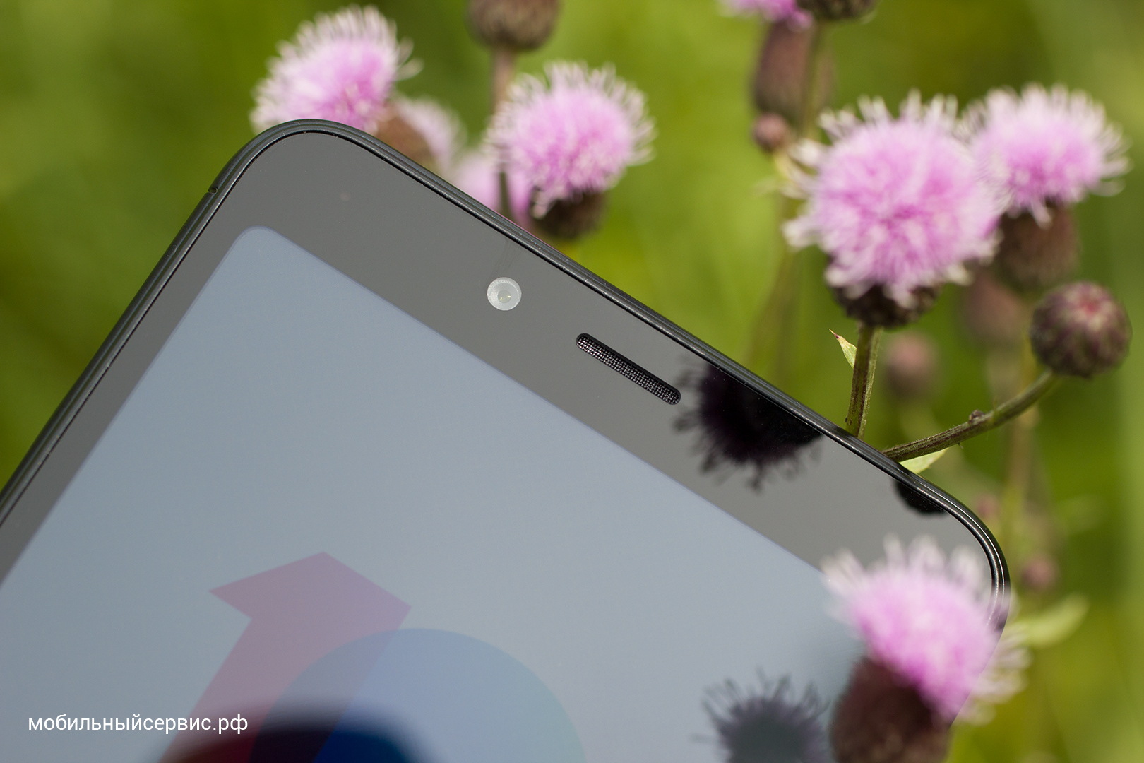 Внешний вид Xiaomi Redmi 6