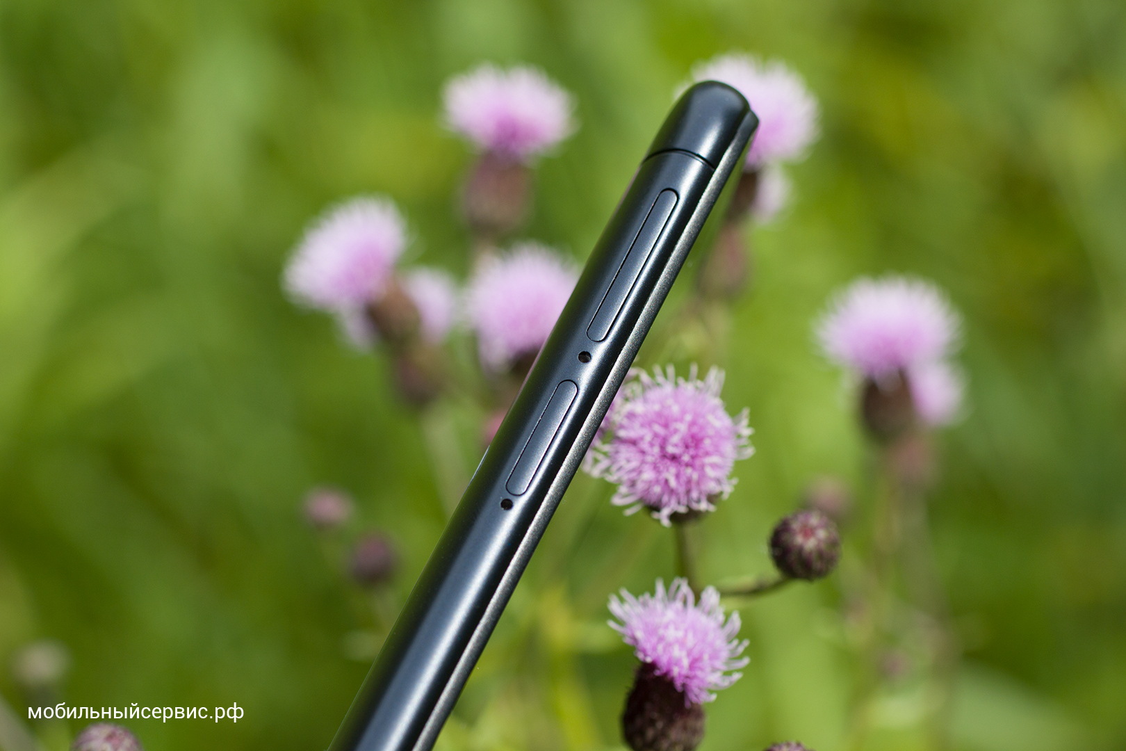 Внешний вид Xiaomi Redmi 6