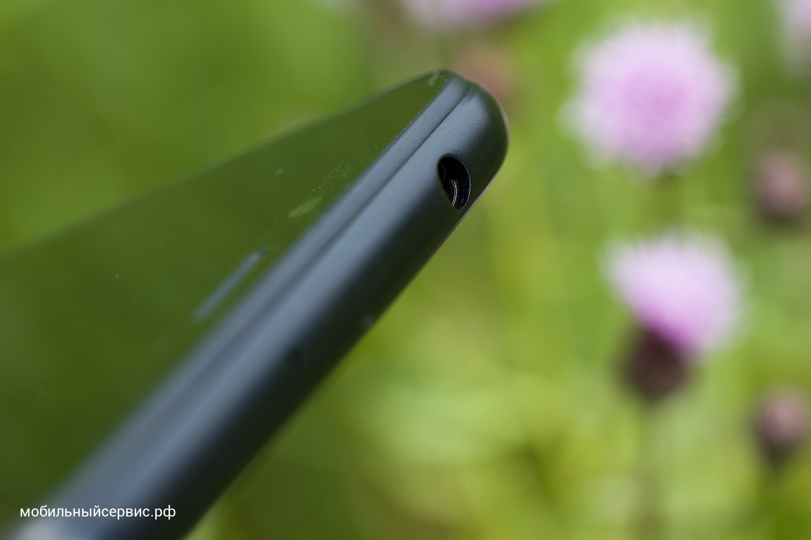 Внешний вид Xiaomi Redmi 6