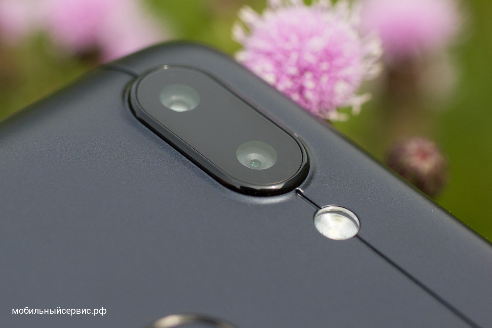 Внешний вид Xiaomi Redmi 6