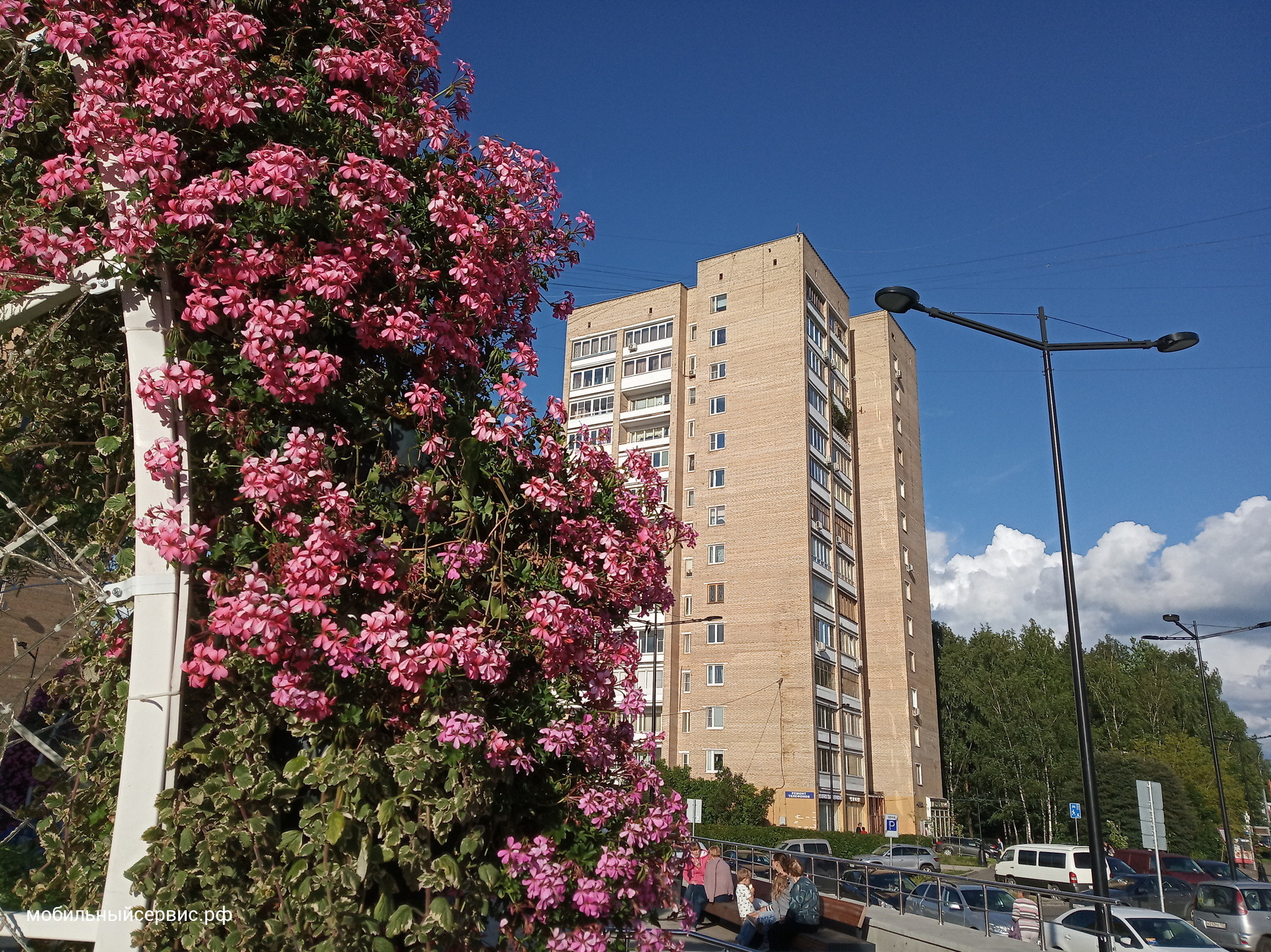 Фотография днём на Xiaomi Redmi 6